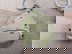 item-193195251=3