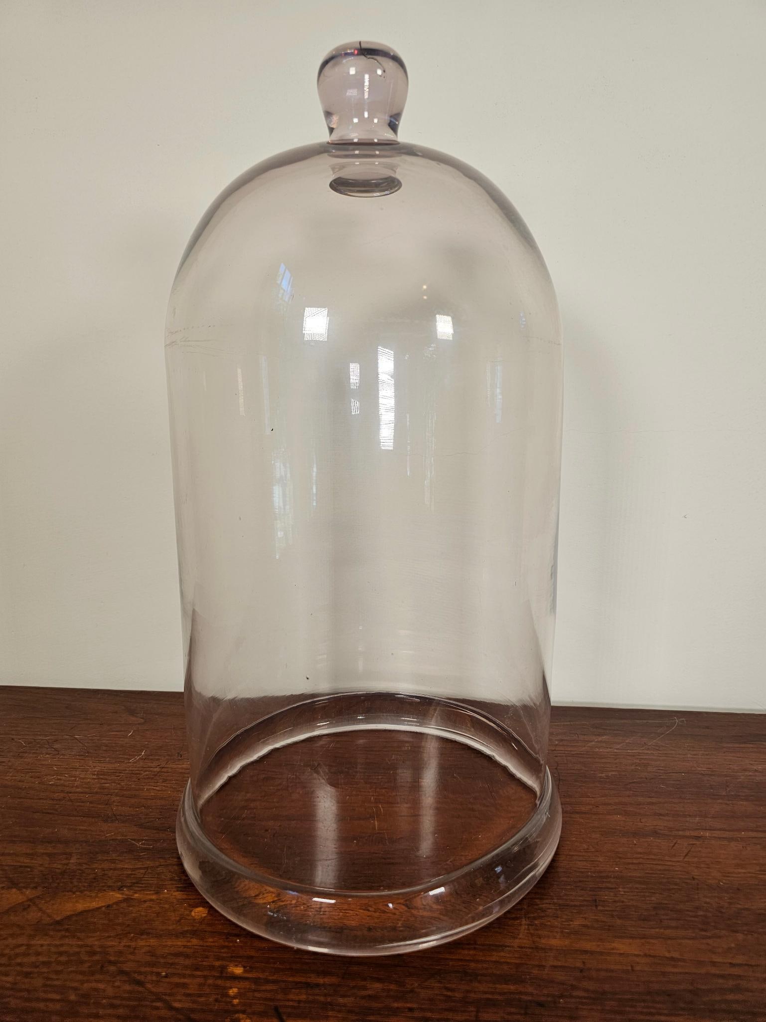 18" Antique Apothecary Bell Jar Glass Dome (1 of 7)