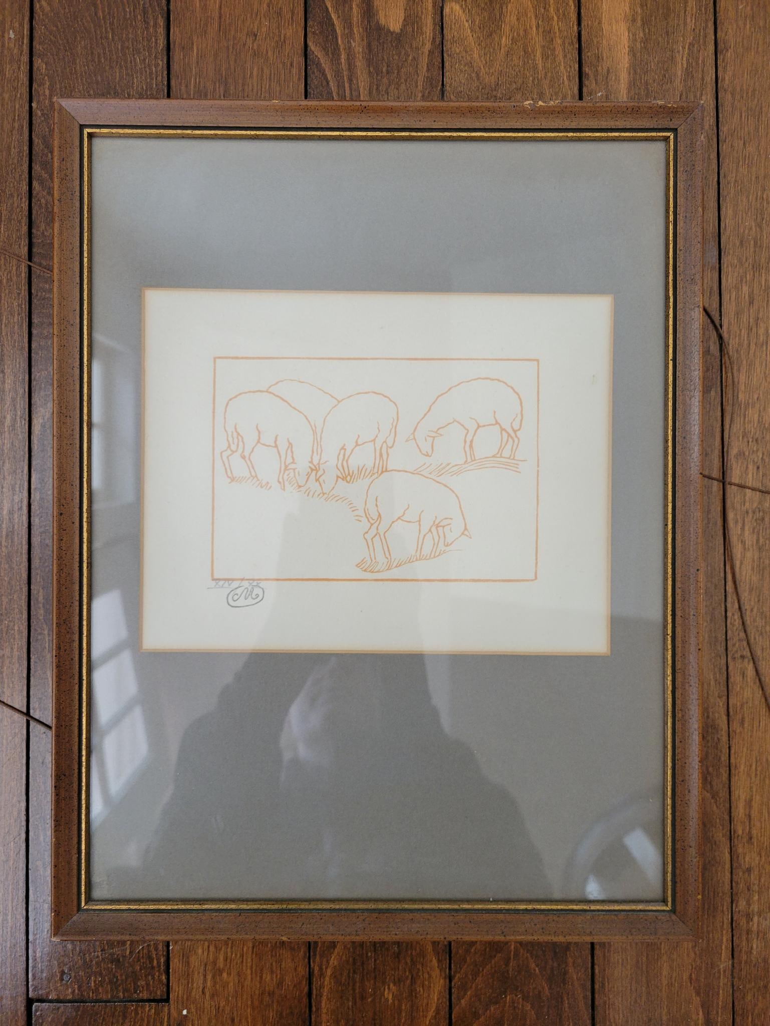 Framed & Signed Engraving of a Study of Sheep (1 of 4)