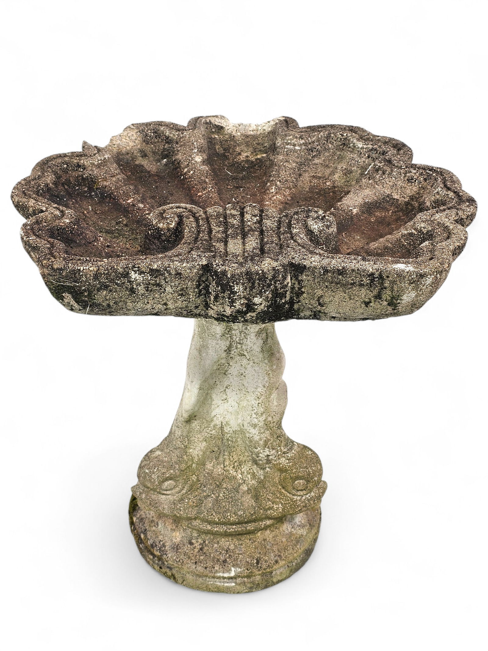Cast Stone Shell Form Bird Bath (1 of 10)