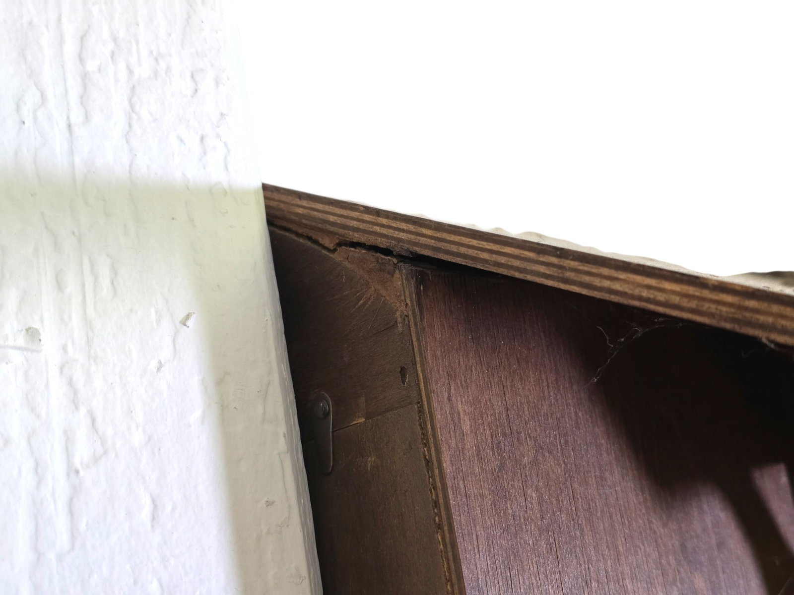 Monumental 40"T Black Forest Carved Walnut Cuckoo Wall Clock - 14