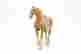 item-121287444=3