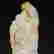 item-119813253=8