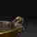 item-120635373=4