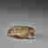 item-131283839=3