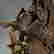 item-131283957=5