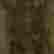 item-133990242=10
