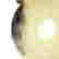 item-136462921=3