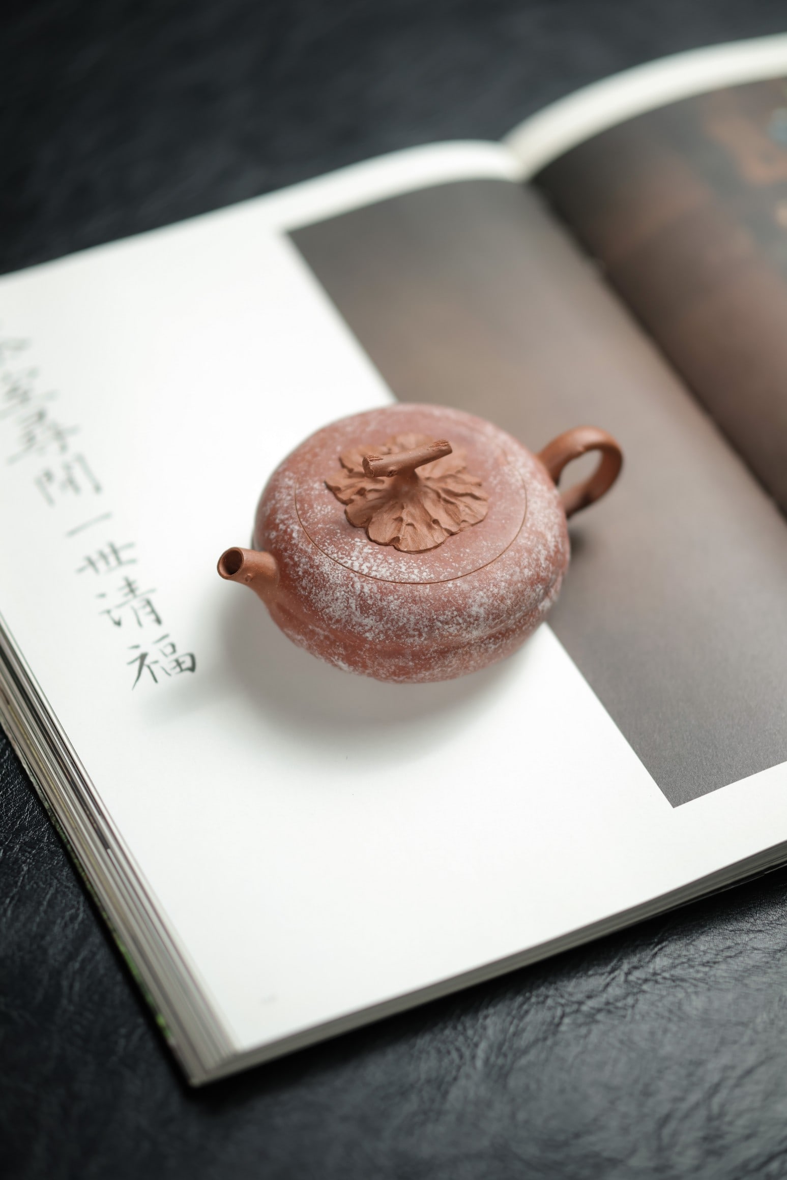 Persimmon cake set - 6
