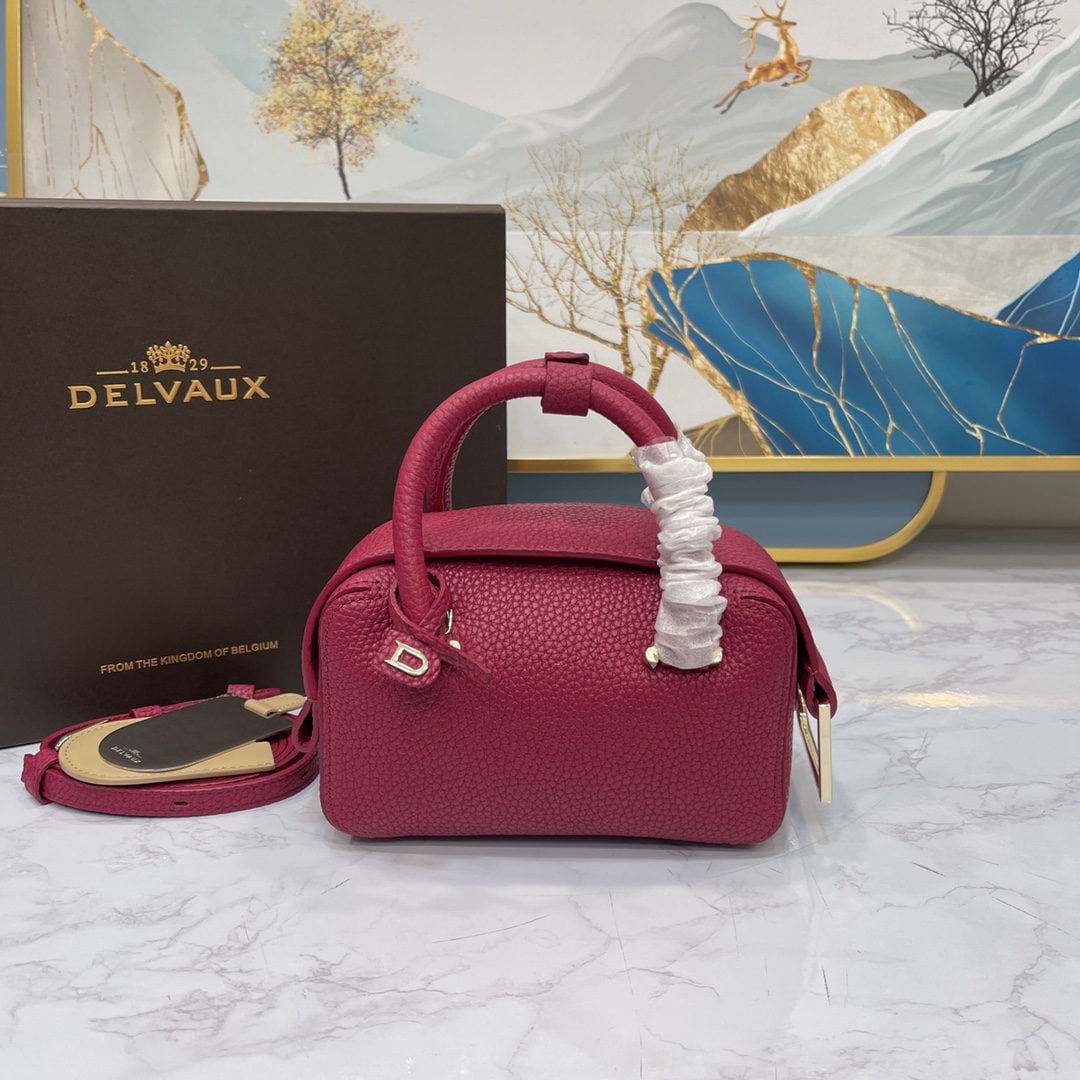Delvaux: Delvaux Coolbox nano, the most popular nano size this year, is small and cute, and can hold a Max phone and cardholder. Dimensions: 16.5 x 7.5 x 11 cm. We offer FREE SHIPPING for both domestic and int