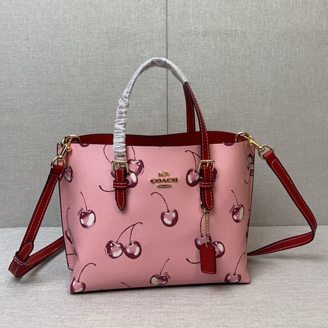 COACH: COACH Red Cherry Print Bag CR293 (COACH Sales Assistant - Cherry Size 25 x 19 cm) We offer FREE SHIPPING for both domestic and international clients.We accept wire transfer and card payment, for the