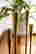 item-130914172=4