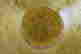 item-136214955=6