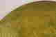 item-136214955=7