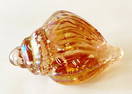 VINTAGE ART GLASS SHELL PAPERWEIGHT