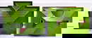 item-209270802=6