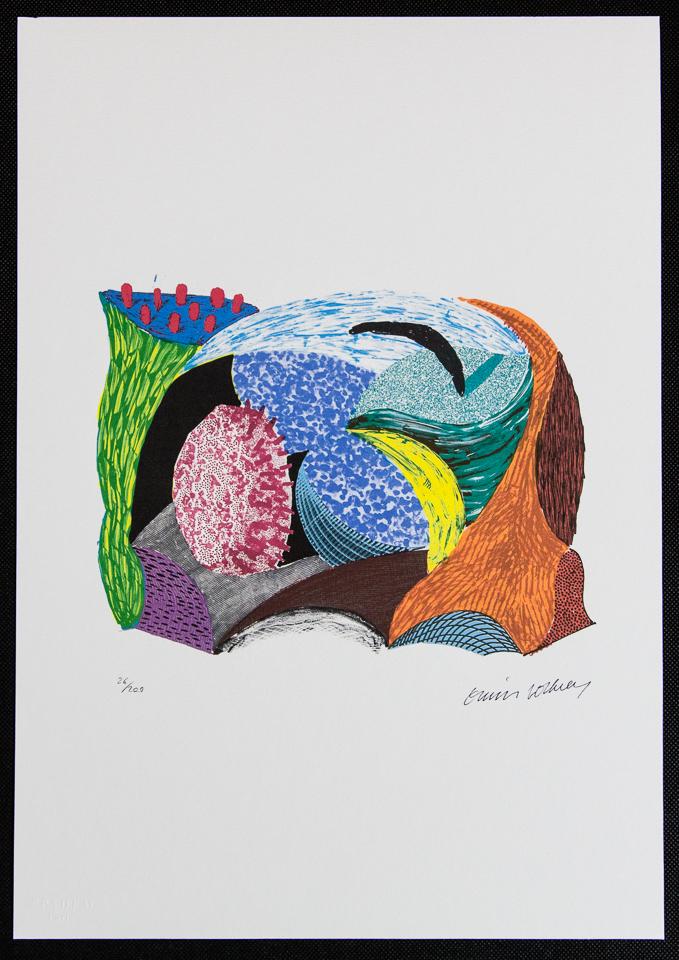 David Hockney "Blue Hang Cliff": David Hockney (after) „Blue Hang Cliff" limited edition of 200, lithography print, plate signed bottom right, numbered with pencil bottom left 26/200, heavy cotton paper, with embossing stamp &#