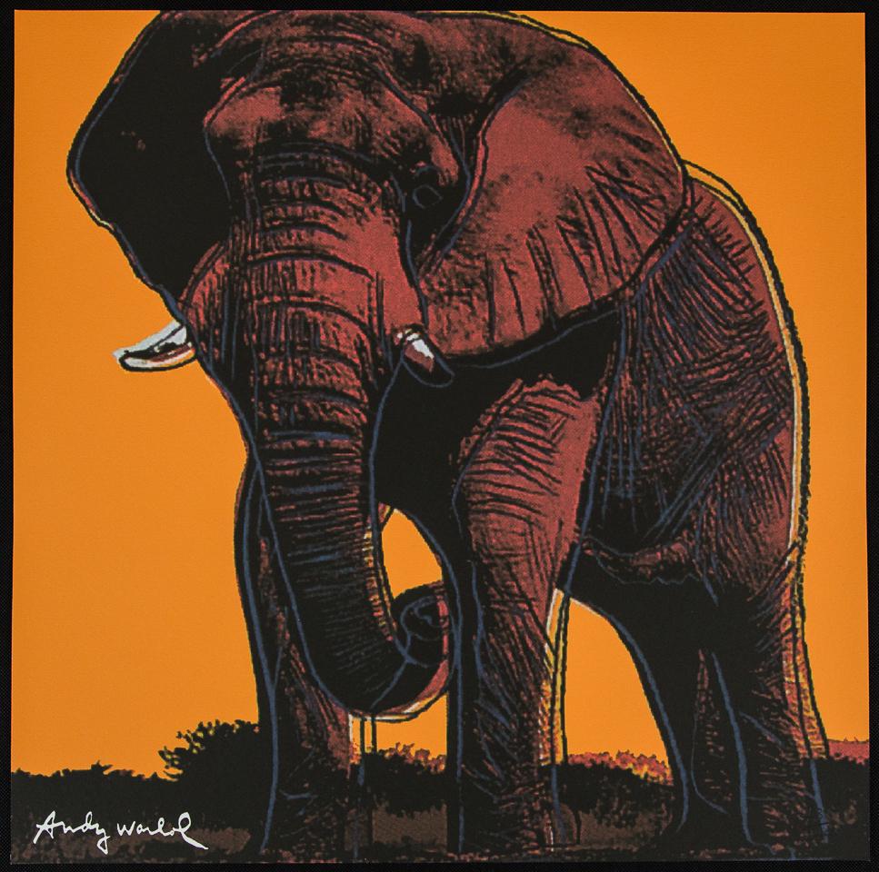 Andy Warhol "African Elephant": Andy Warhol (after) „African Elephant" offset lithography, size 60 x 60 cm, plate signed bottom left, numbered with pencil, limited edition 43/2400, heavy paper, stamped with CMOA on the back (C