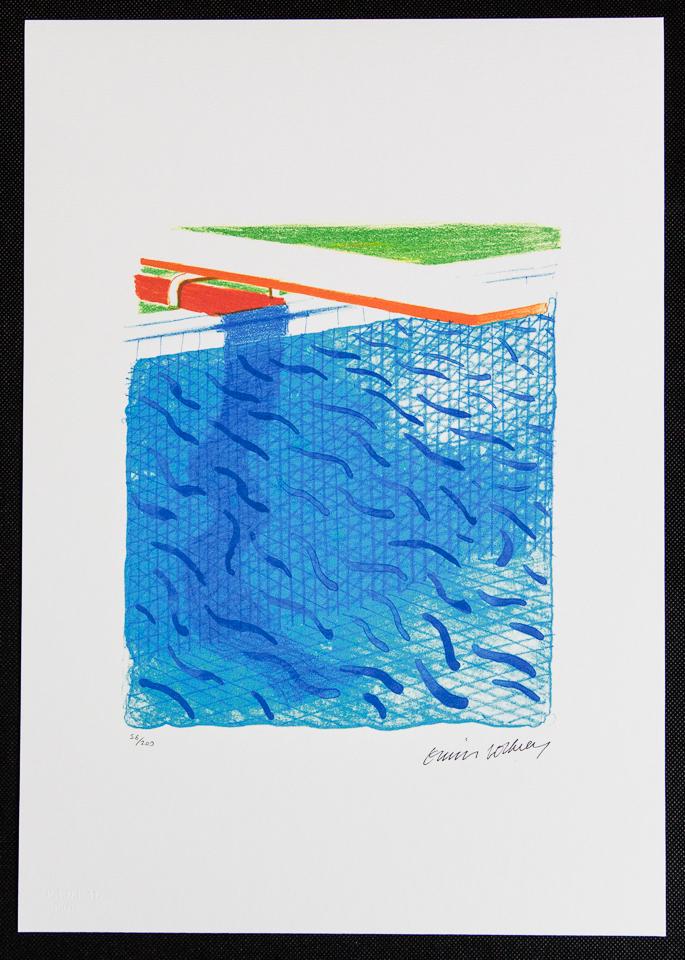 David Hockney "Pool" (1 of 5)