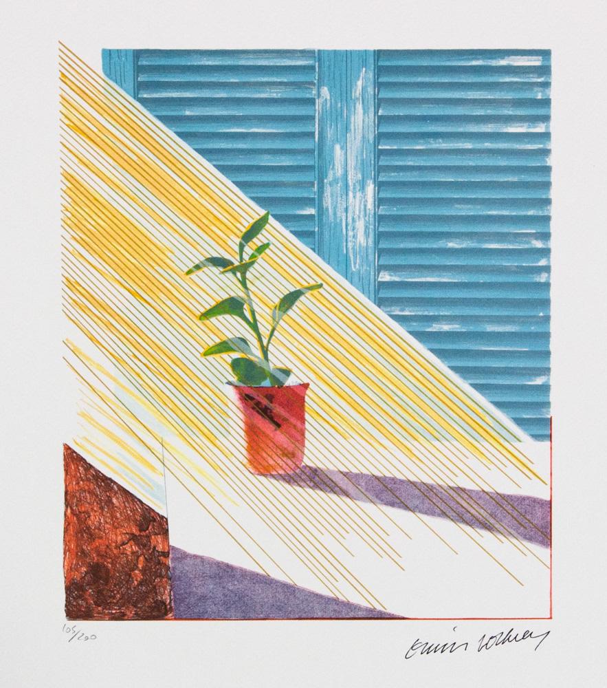 David Hockney "Sun" (1 of 5)