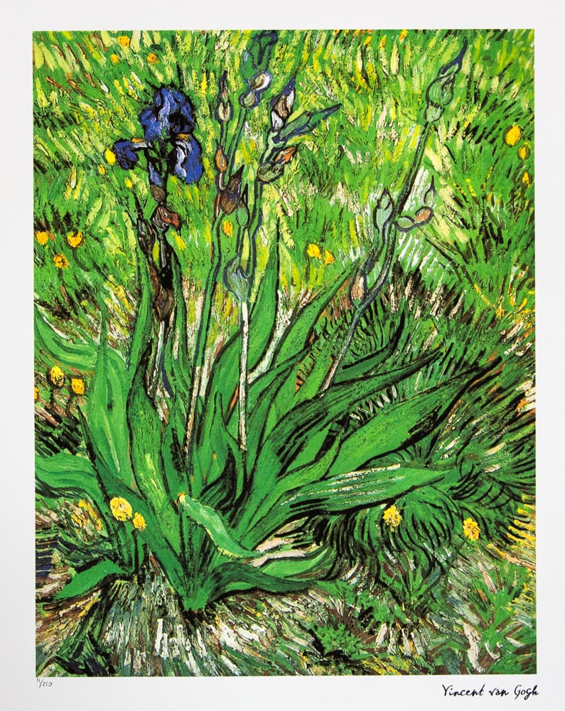 Vincent van Gogh "Iris" (1 of 5)
