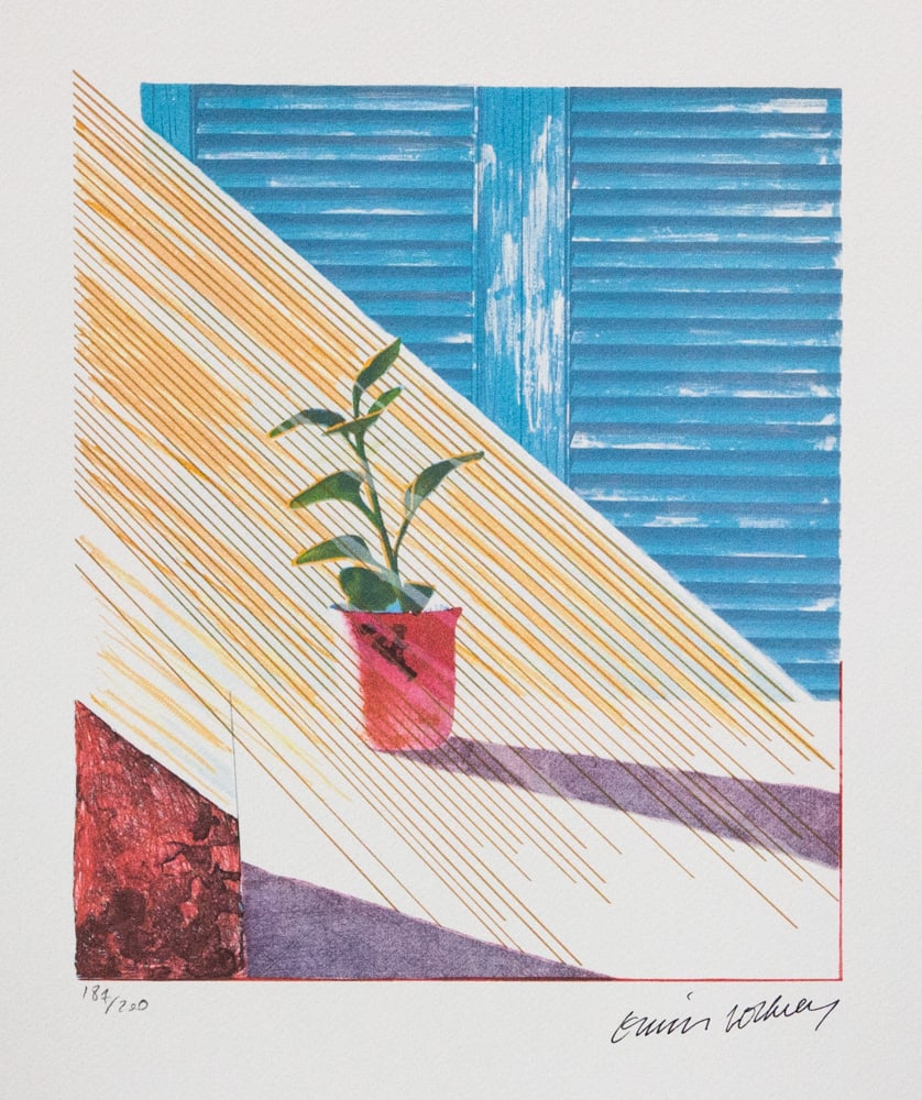 David Hockney 'Sun' (1 of 5)