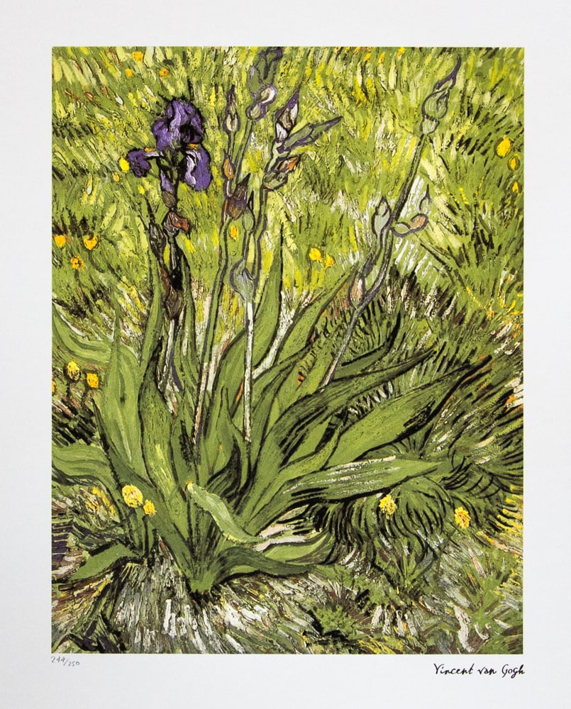 Vincent van Gogh 'Iris' (1 of 5)