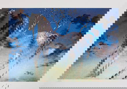 Salvador Dali 'The Unicorn': Salvador Dali (after) 'The Unicorn' offset lithography, sheet size 50 x 65 cm, heavy paper with watermark BFK Rives France, signed bottom right, pencil 'Dali', numbered with pencil bottom left