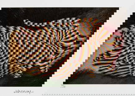 Victor Vasarely 'Tigres': Victor Vasarely (after) 'Tigres' limited edition of 500, lithography print, plate signed bottom right, numbered with pencil bottom left 142/500, heavy cotton paper, with embossing stamp 'SPADEM,