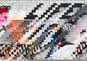 DEATH NYC SIGNED FINE ART PRINT W/COA: DEATH NYC Signed Fine Art Print with COA , DEATH NYC is a New York City-based street artist. Her pseudonym is an acronym for 'Don't Easily Abandon the Hope'. Print is blind stamped, comes with Certifi