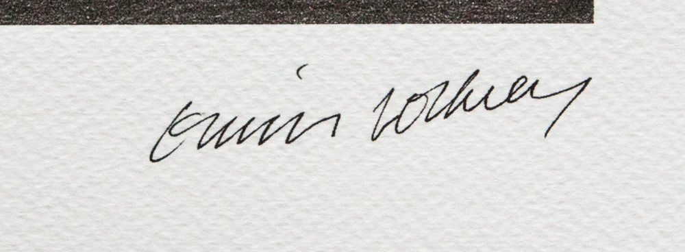 David Hockney 'Lightning' - 3