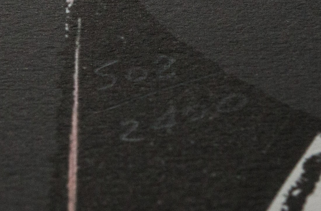 Andy Warhol 'Mickey Mouse' - 3