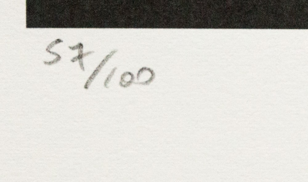 Andy Warhol 'Giant Panda' - 4