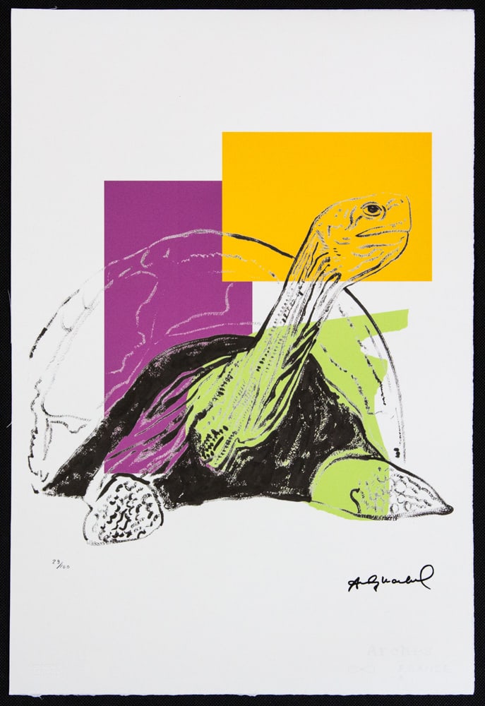 Andy Warhol 'Turtle' - 2