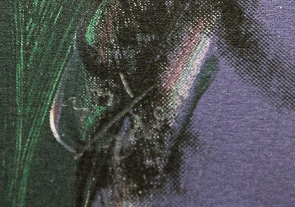 Andy Warhol 'Muhammad Ali' - 3