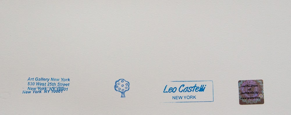 Andy Warhol 'Pine Barrens Tree Frog' - 6