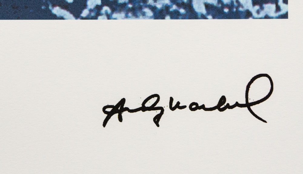 Andy Warhol 'Pine Barrens Tree Frog' - 3