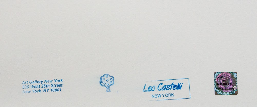 Andy Warhol 'Pine Barrens Tree Frog' - 6