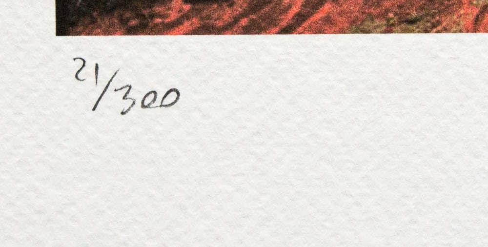 Jackson Pollock 'The Flame' - 4