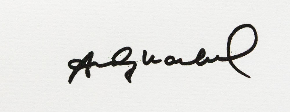 Andy Warhol 'Giant Panda' - 4