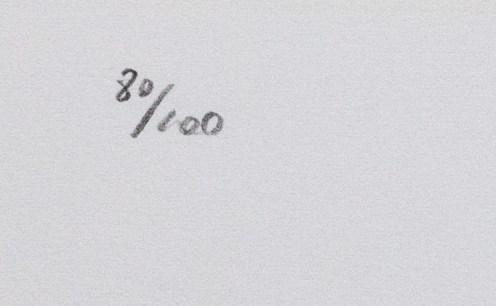 Andy Warhol 'Elvis Presley' - 4