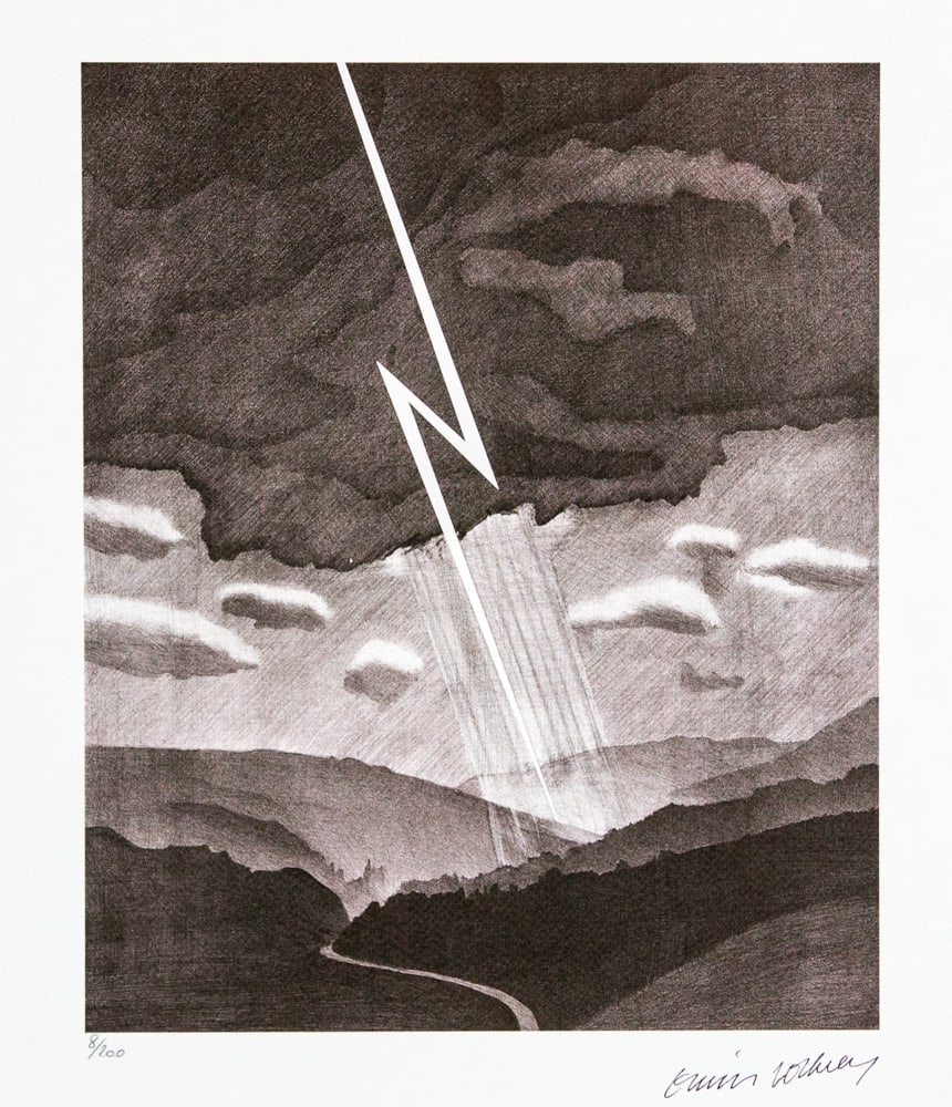 David Hockney 'Lightning': David Hockney (after) 'Lightning' limited edition of 200, lithography print, plate signed bottom right, numbered with pencil bottom left 8/200, heavy cotton paper, with embossing stamp 'SPADEM,