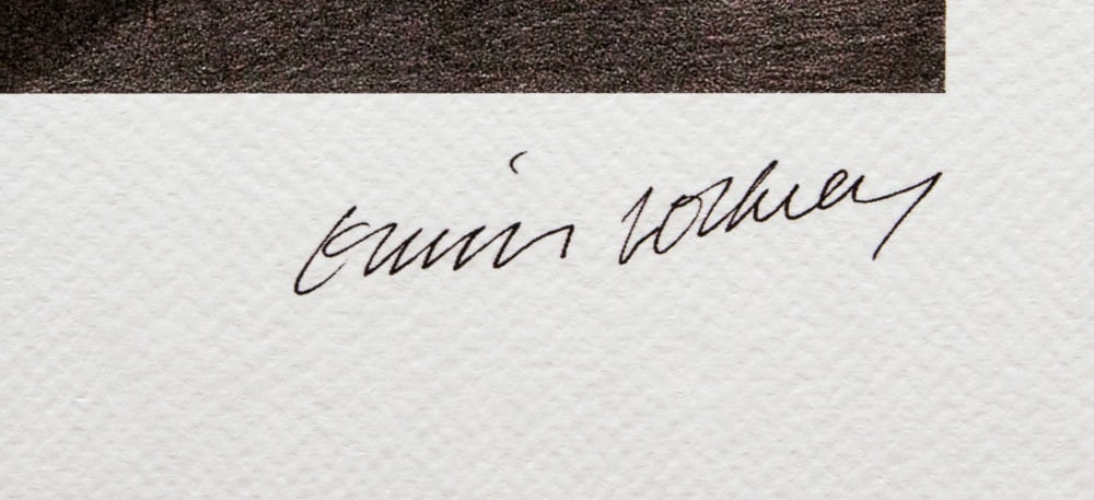 David Hockney 'Lightning' - 4