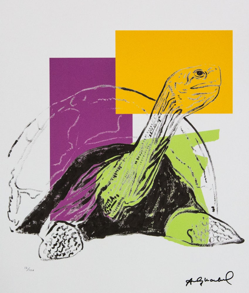 Andy Warhol 'Turtle': Andy Warhol (after) 'Turtle' offset lithograph in colors on Arches paper, sheet size 38,5 x 57 cm, plate signed bottom right, numbered with pencil, limited edition 12/100 (Leo Castelli, Art Gallery Ne