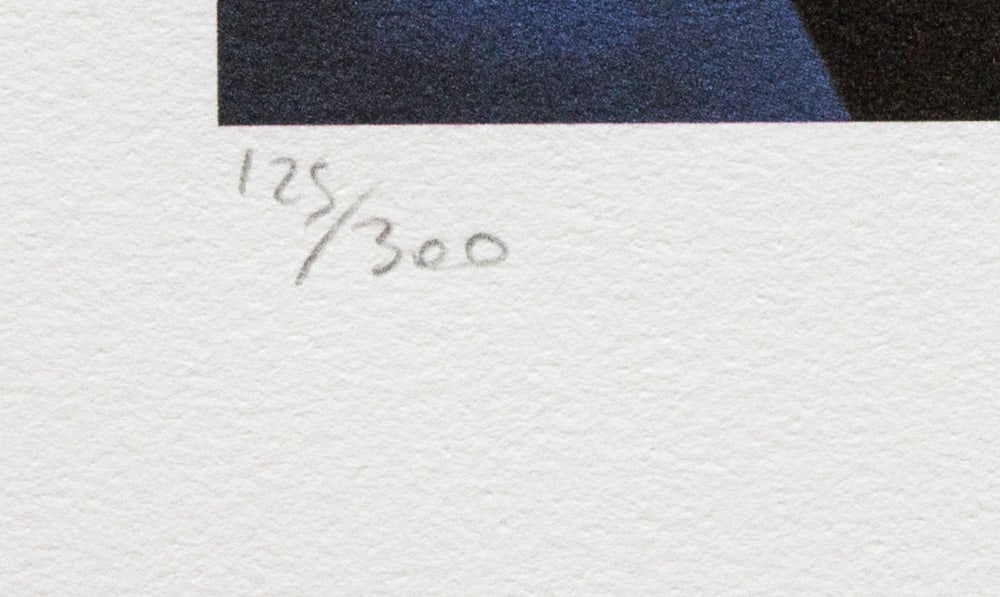 Fernand Leger 'The Camper' - 4