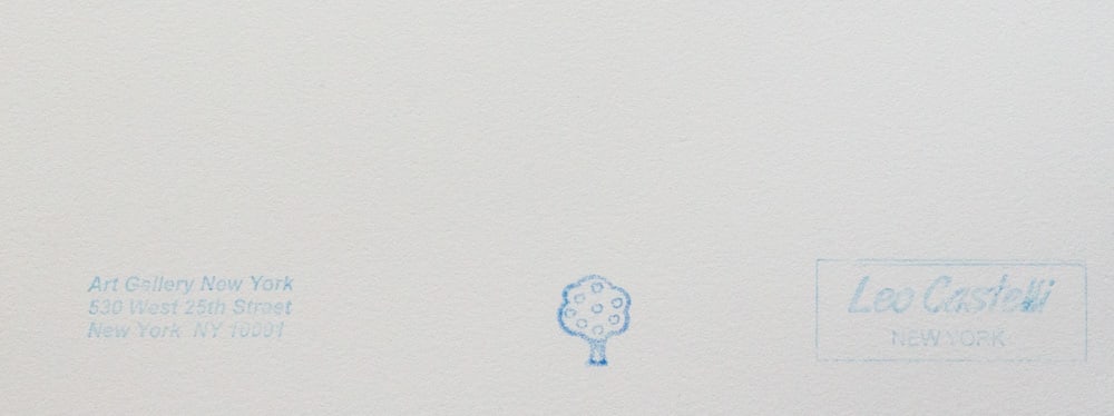 Andy Warhol 'Pine Barrens Tree Frog' - 6