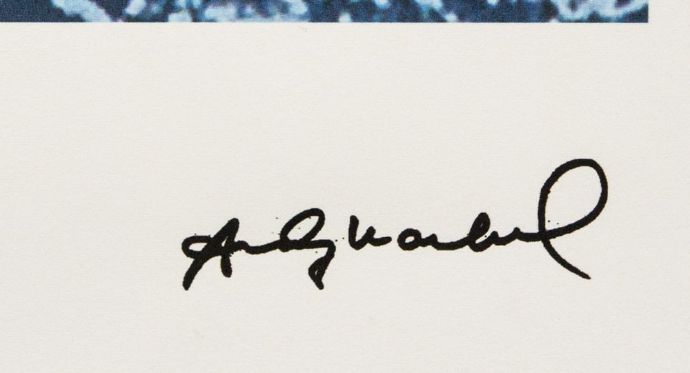 Andy Warhol 'Pine Barrens Tree Frog' - 3