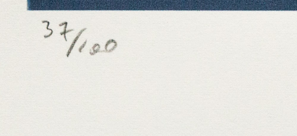 Andy Warhol 'Pine Barrens Tree Frog' - 4