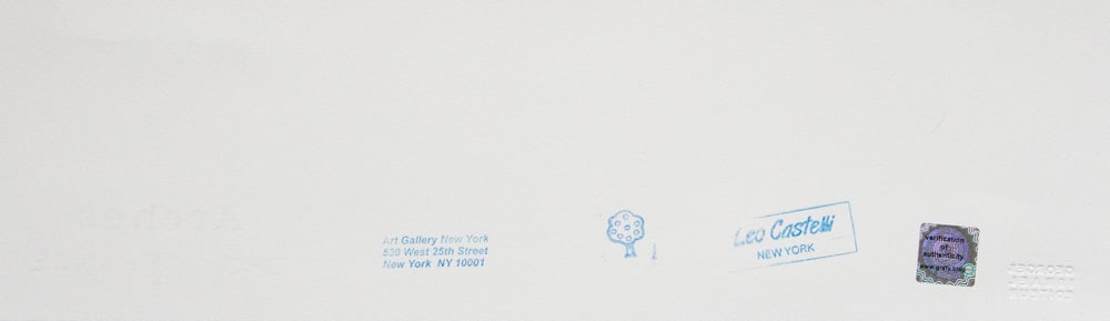 Andy Warhol 'Pine Barrens Tree Frog' - 6