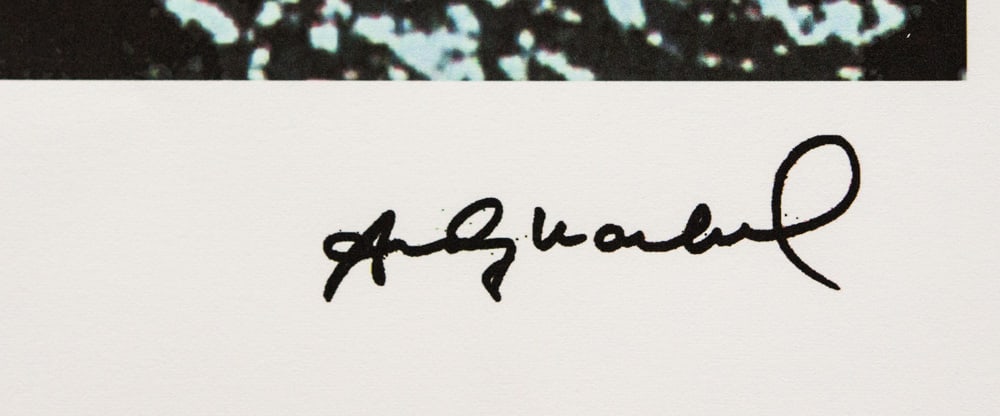 Andy Warhol 'Pine Barrens Tree Frog' - 3